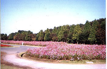 �R�X���X��