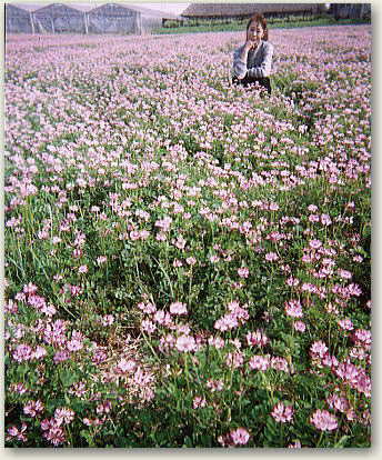 ��񂰂Ɉ͂܂ꂽ�F