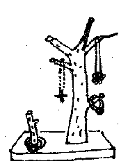 �A�N�Z�T���[�X�^���h