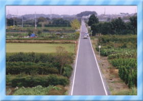 �c��ڂ̂Ȃ��̓�