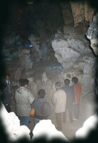 �u���[�F�Ɍ��铴�A