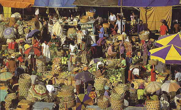 �}�[�P�b�g���i