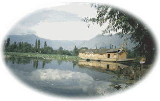 �C���h�����n�̕��i