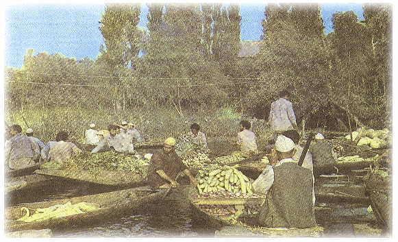 �C���h�̃r�W�l�X���i