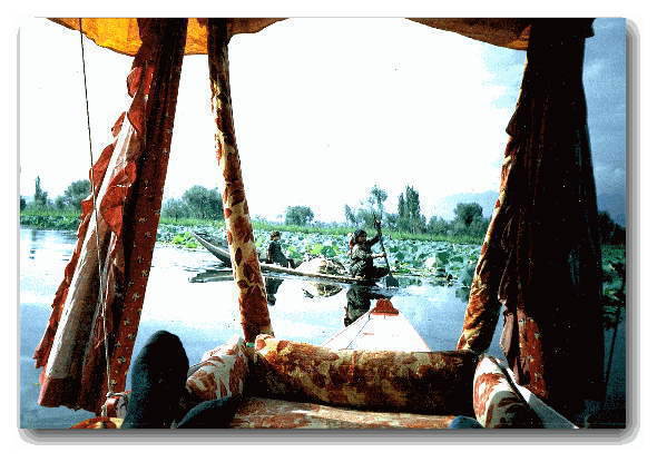 �{�[�g�̏ォ��C���h������