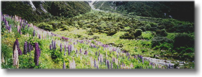 �A�[�T�[�Y��