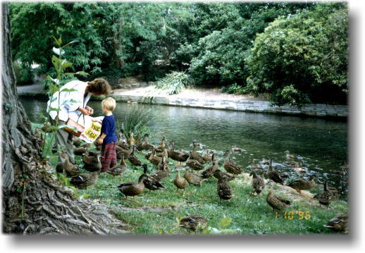 �n�[�O���C�p�[�N�ɂ�