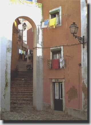 ���X�{���̗��ʂ�