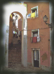 ���X�{���̃_�E���^�E��