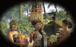 �o���̏�������